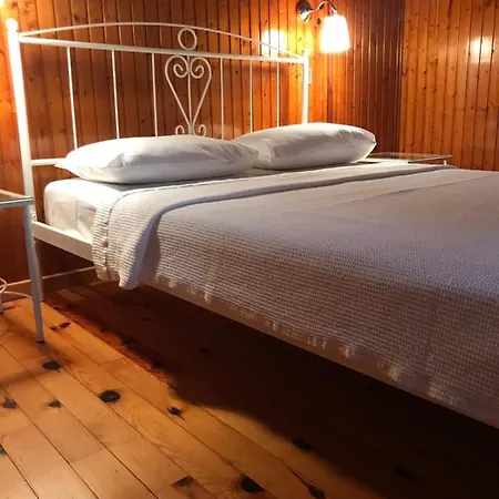 9mouses Chasiotis 3*