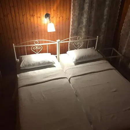 9mouses Chasiotis 3*