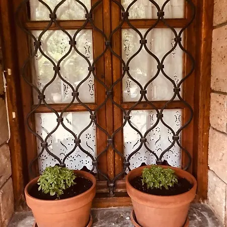 9mouses Chasiotis Guest house 3*