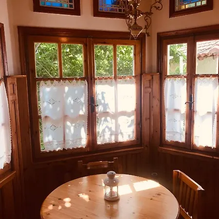 9mouses Chasiotis Πανσιόν 3*