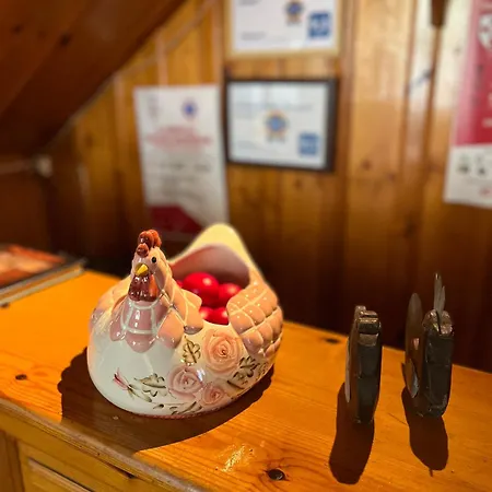 Gasthuis 9mouses Chasiotis 3*