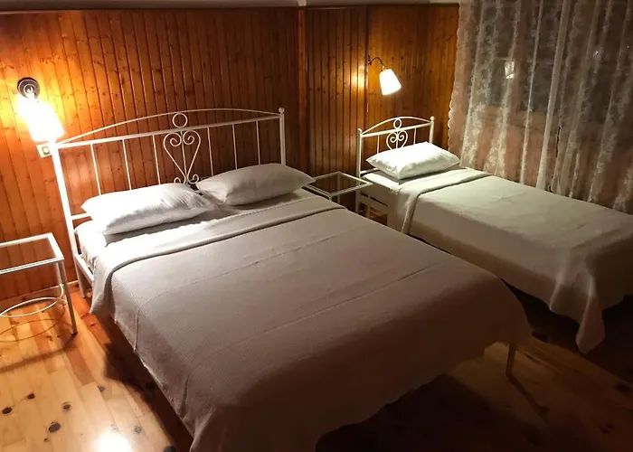 9mouses Chasiotis Gasthuis 3*