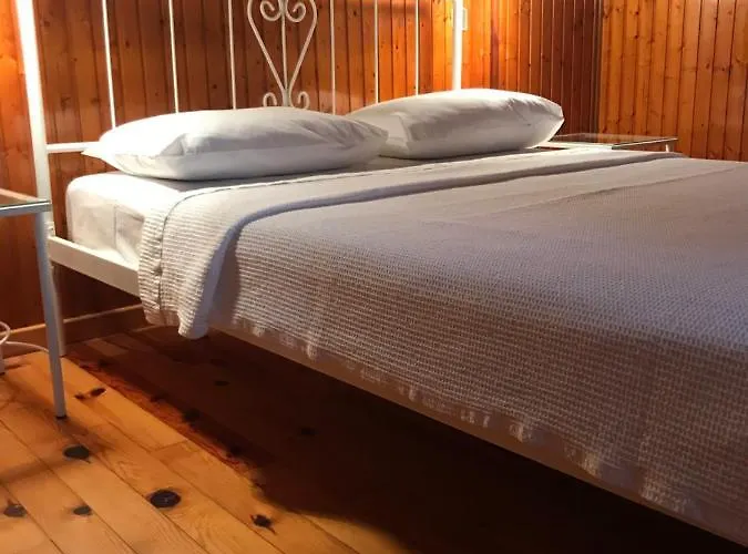 9mouses Chasiotis 3*