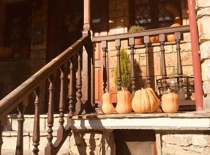 9mouses Chasiotis 3*