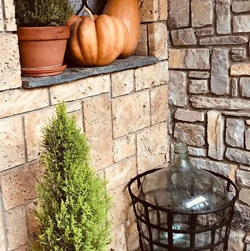 9mouses Chasiotis Gasthuis 3*