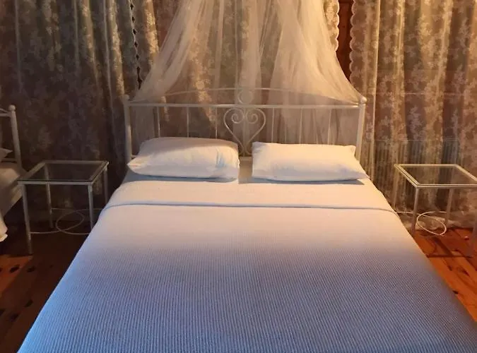 9mouses Chasiotis Gasthuis