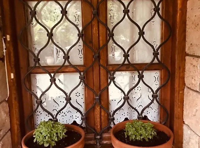 9mouses Chasiotis Gasthuis 3*