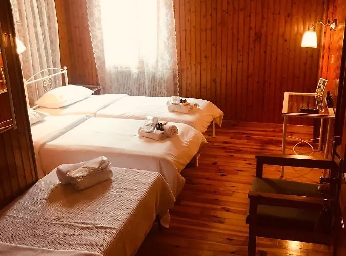 9mouses Chasiotis Ampelakia