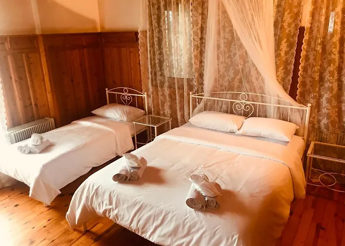 Gasthuis 9mouses Chasiotis