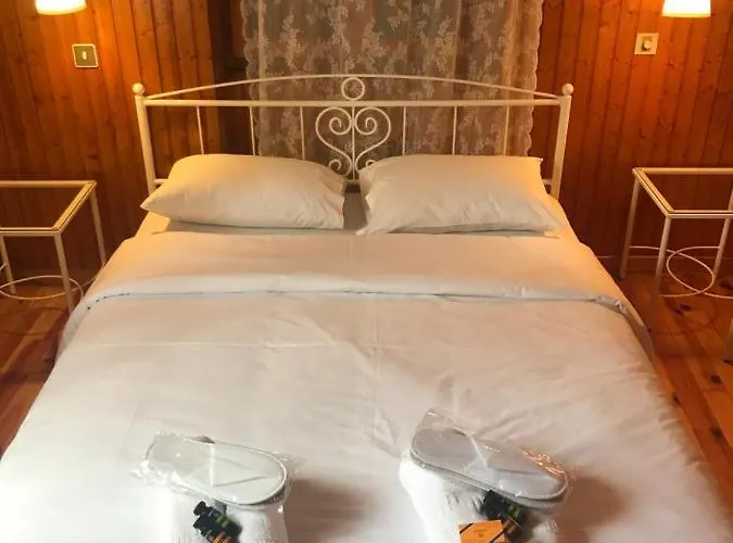 Gasthuis 9mouses Chasiotis