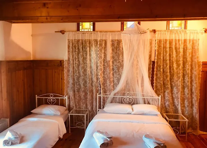 9mouses Chasiotis Gasthuis