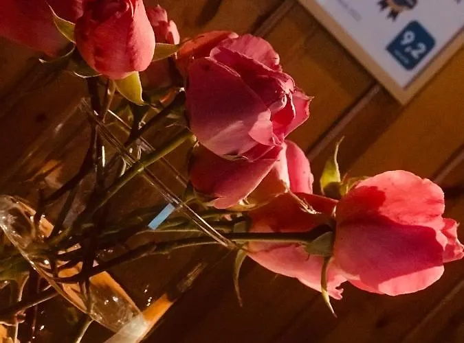 9mouses Chasiotis 3* Ampelakia