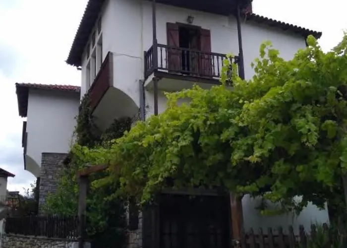 9mouses Chasiotis Gasthuis