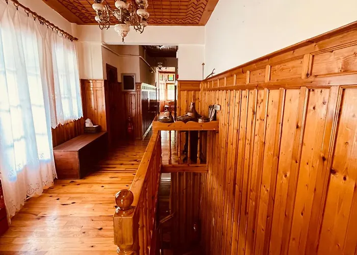 Gasthuis 9mouses Chasiotis 3*