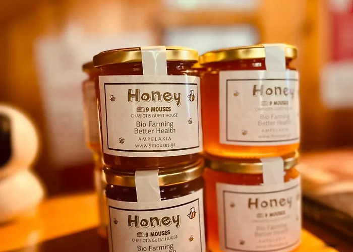 Gasthuis 9mouses Chasiotis Ampelakia