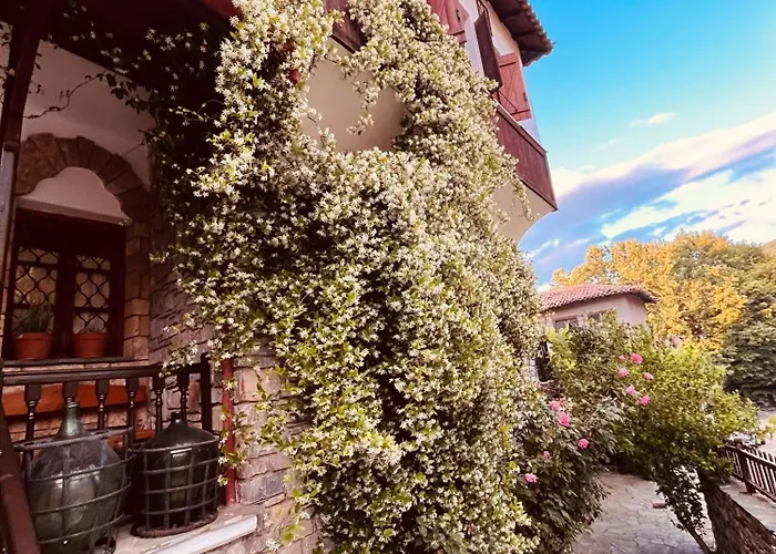 Gasthuis 9mouses Chasiotis Ampelakia