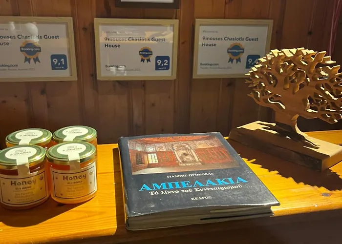 9mouses Chasiotis Gasthuis Ampelakia